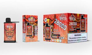 Bang 28000 28k Züge Original Einstellbare Eisstufe Einweg-e-zigarette Stift