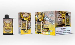 Bang 28000 28k Züge Original Einstellbare Eisstufe Einweg-e-zigarette Stift