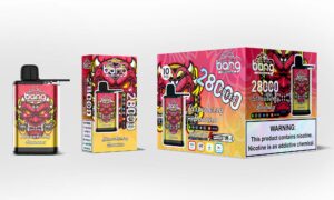 Bang 28000 28k Züge Original Einstellbare Eisstufe Einweg-e-zigarette Stift