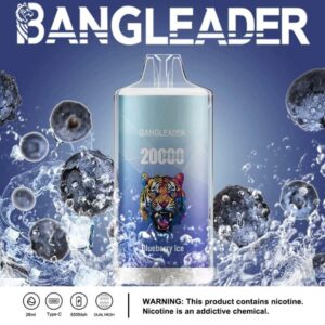 Bang Leader 20000 20k Züge Neuestes Produkt Einweg-e-zigarette
