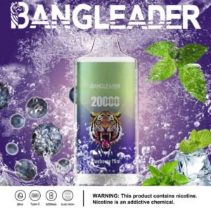 Bang Leader 20000 20k Züge Neuestes Produkt Einweg-e-zigarette
