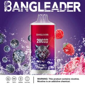 Bang Leader 20000 20k Züge Neuestes Produkt Einweg-e-zigarette
