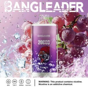 Bang Leader 20000 20k Züge Neuestes Produkt Einweg-e-zigarette
