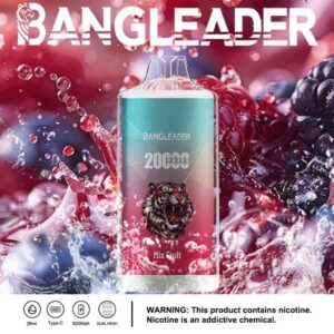 Bang Leader 20000 20k Züge Neuestes Produkt Einweg-e-zigarette