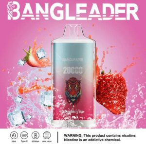 Bang Leader 20000 20k Züge Neuestes Produkt Einweg-e-zigarette