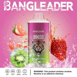 Bang Leader 20000 20k Züge Neuestes Produkt Einweg-e-zigarette