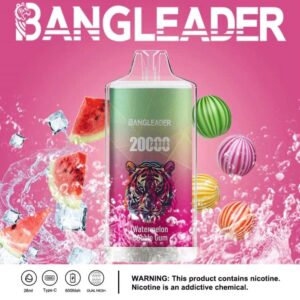 Bang Leader 20000 20k Züge Neuestes Produkt Einweg-e-zigarette