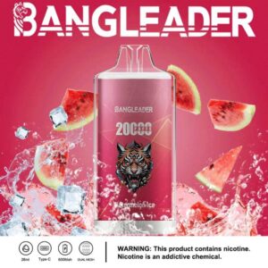 Bang Leader 20000 20k Züge Neuestes Produkt Einweg-e-zigarette