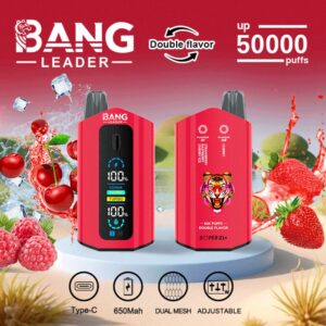 Bang Leader 50000 50k Züge 2% 3% 5% Nikotin Doppelgeschmack Lcd-display Einweg-e-zigarette