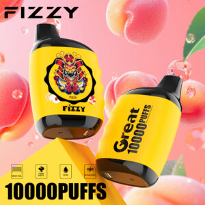 Fizzy Great 10000 10k Züge 2% 5% Nikotin Originalausgabe Einweg-e-zigarette