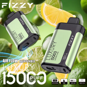 Fizzy Luxury 15000 15k Züge 22ml Original Edition Lcd-anzeige Einweg-e-zigarette
