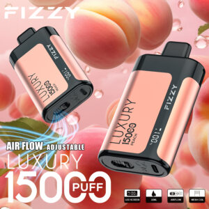 Fizzy Luxury 15000 15k Züge 22ml Original Edition Lcd-anzeige Einweg-e-zigarette
