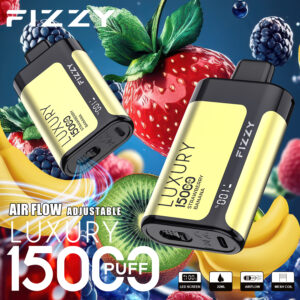 Fizzy Luxury 15000 15k Züge 22ml Original Edition Lcd-anzeige Einweg-e-zigarette