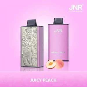 Jnr Mega Box 25000 25k Züge Original Edition Wiederaufladbare Einweg-e-zigarette