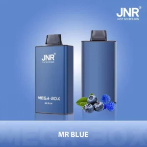 Jnr Mega Box 25000 25k Züge Original Edition Wiederaufladbare Einweg-e-zigarette