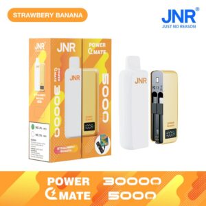 Jnr Power Mate 30000 30k Züge Smart Display 5000mah Power Bank Einweg-e-zigarette