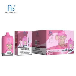 Randm Digital Box 12000 12k Züge 20ml Led-display Einweg-e-zigarette