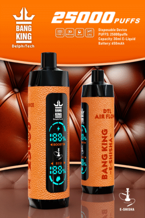 Bang King Shisha 25000 25k Züge Neueste Led-anzeige Leder Einweg-e-zigarette