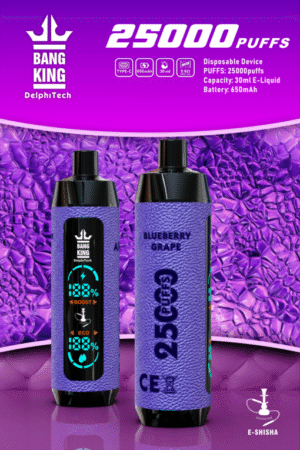 Bang King Shisha 25000 25k Züge Neueste Led-anzeige Leder Einweg-e-zigarette