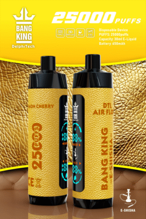 Bang King Shisha 25000 25k Züge Neueste Led-anzeige Leder Einweg-e-zigarette