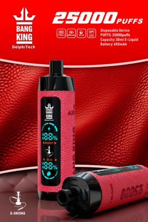 Bang King Shisha 25000 25k Züge Neueste Led-anzeige Leder Einweg-e-zigarette