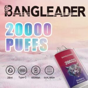 Bang Leader 20000 20k Züge Neuestes Produkt Einweg-e-zigarette