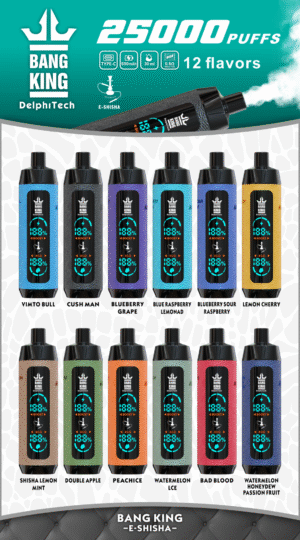 Bang King Shisha 25000 25k Züge Neueste Led-anzeige Leder Einweg-e-zigarette