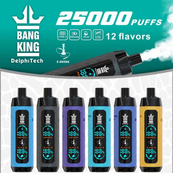 Bang King Shisha 25000 25k Züge Neueste Led-anzeige Leder Einweg-e-zigarette